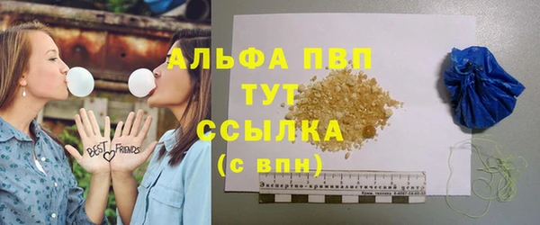 гидра Богородицк