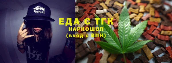 гидра Богородицк
