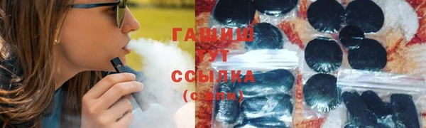 гидра Богородицк