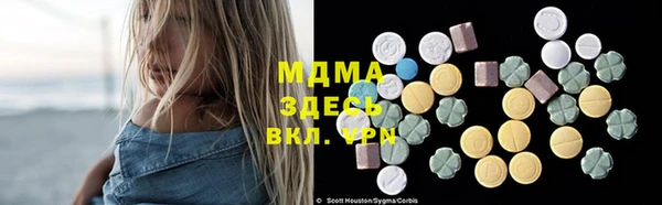 гидра Богородицк