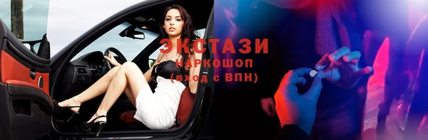 гидра Богородицк