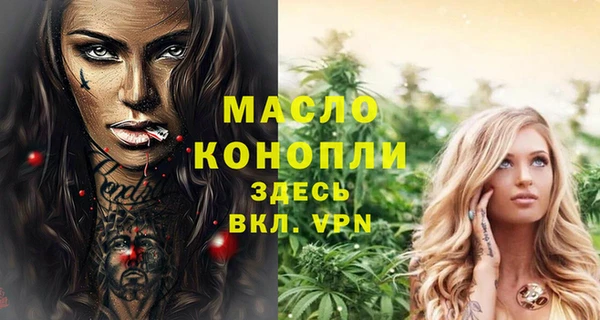 гидра Богородицк