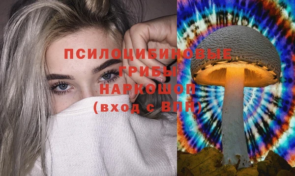 гидра Богородицк