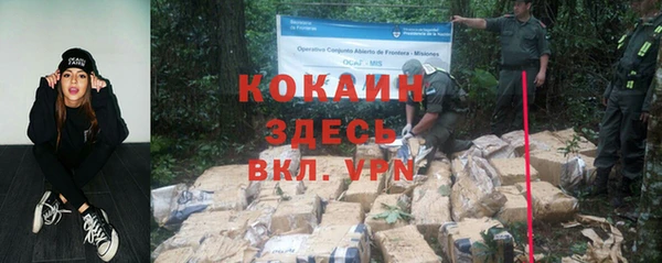 мет Богданович