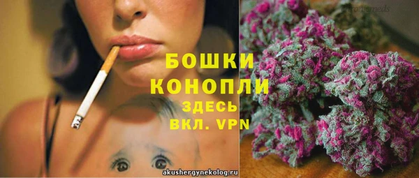 СК Белокуриха