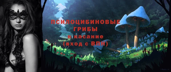мет Богданович