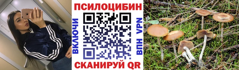 ОМГ ОМГ ONION  Меленки  Псилоцибиновые грибы ЛСД 